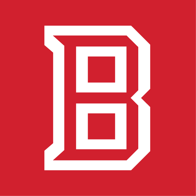 Bradley Braves 2012-Pres Alt on Dark Logo decal supplier